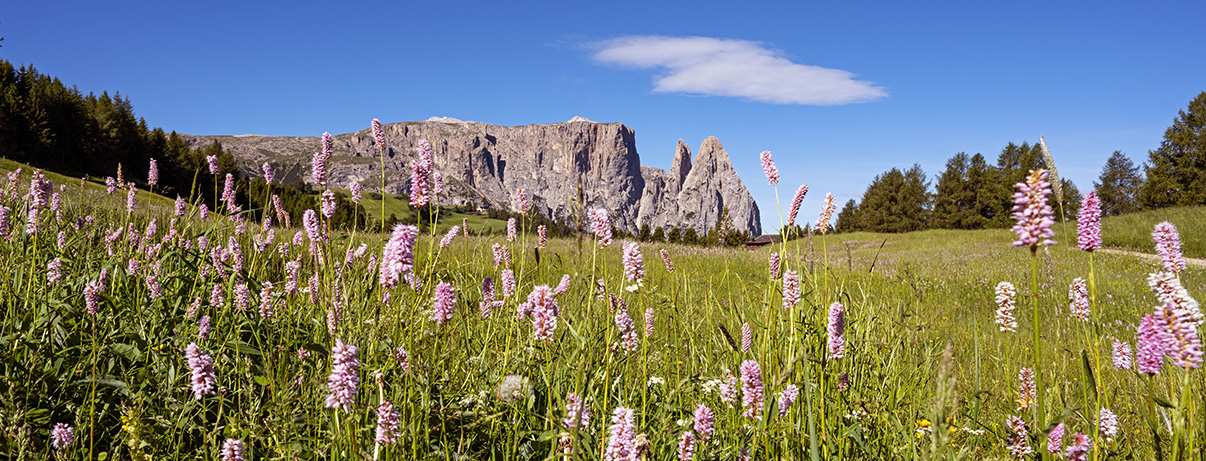 marvels and tastes of the Dolomites