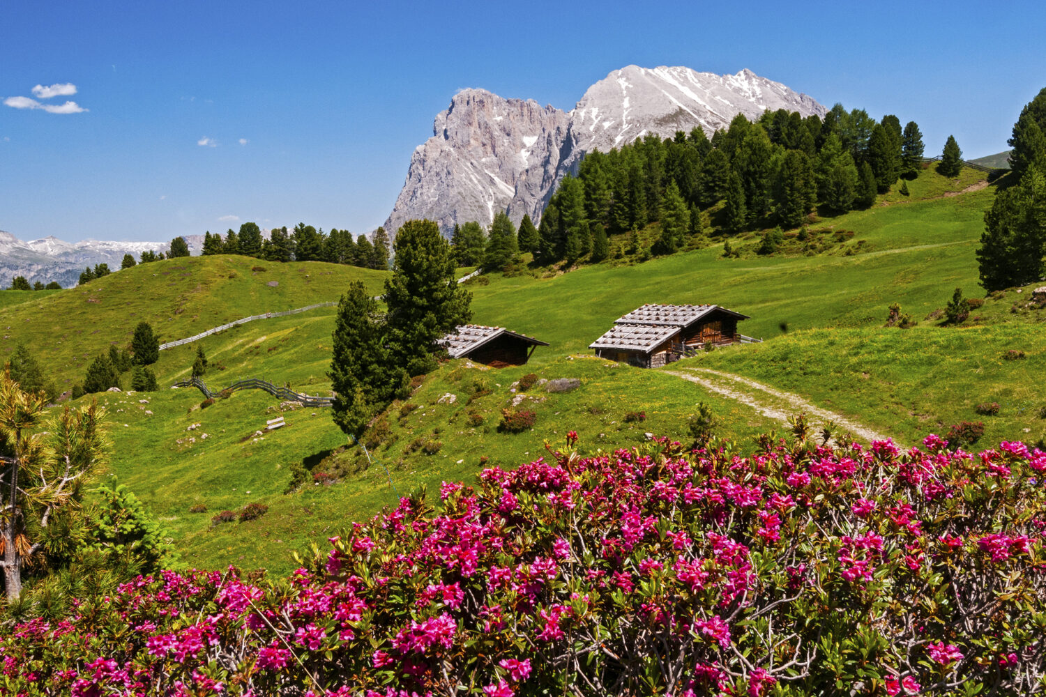 Alpe di Siusi