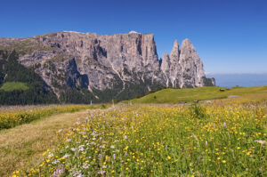 Alpe di Siusi