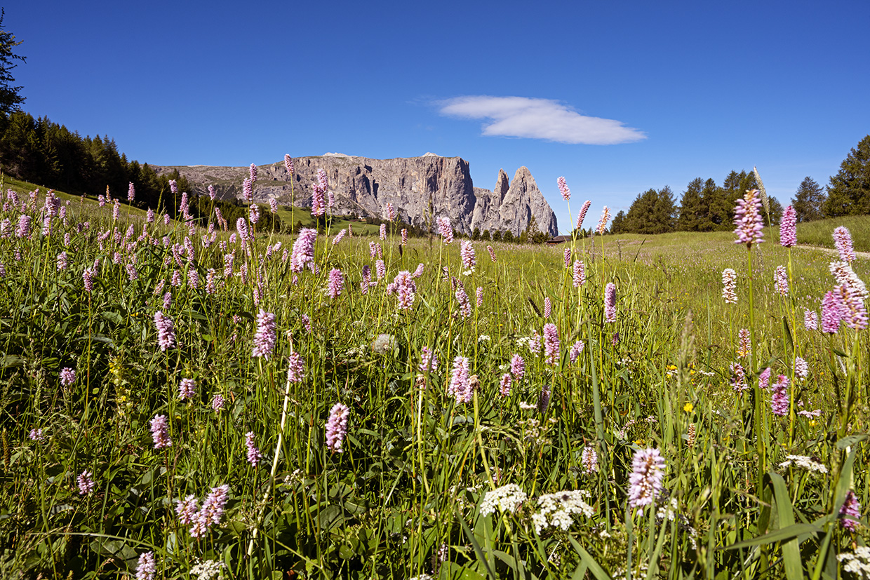 Marvels of the Dolomites Italy