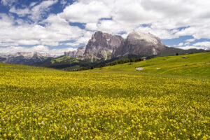 Alpe di Siusi