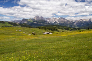 Alpe di Siusi