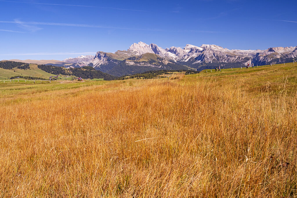 Autumn Delights in the Dolomites Italy