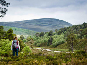 Royal Deeside Scotland